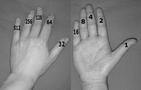 BinÃ¤res FingerzÃ¤hlen